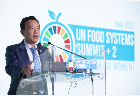 UN food stocktaking sesion underlines food system challenges